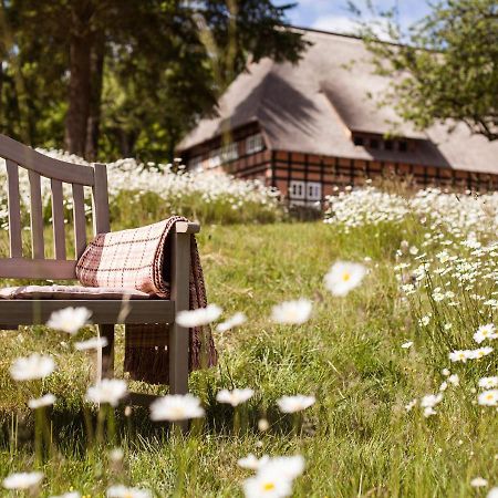 Park Am See X Nattika Ayurveda, Hotel Health Spirit Penzlin ภายนอก รูปภาพ